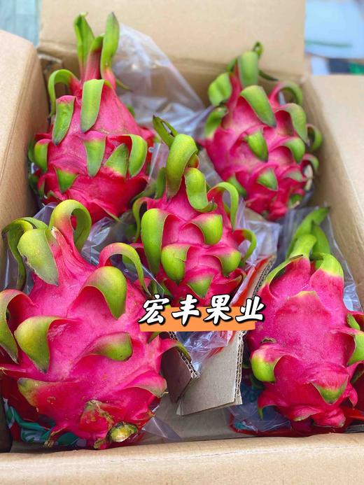 宏丰精选 越南红心火龙果 口感不错 火龙果怕热 一定及时放冰箱哦  活动价9.9元一斤 商品图8