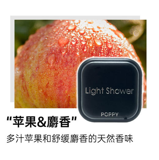 日本DIAX lightb shower车载出风口香氛 商品图2