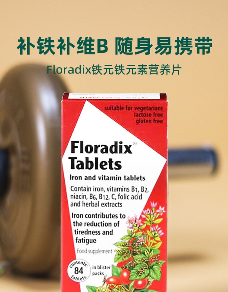 salus铁元片剂floradixiron孕妇补铁血营养片红铁84粒