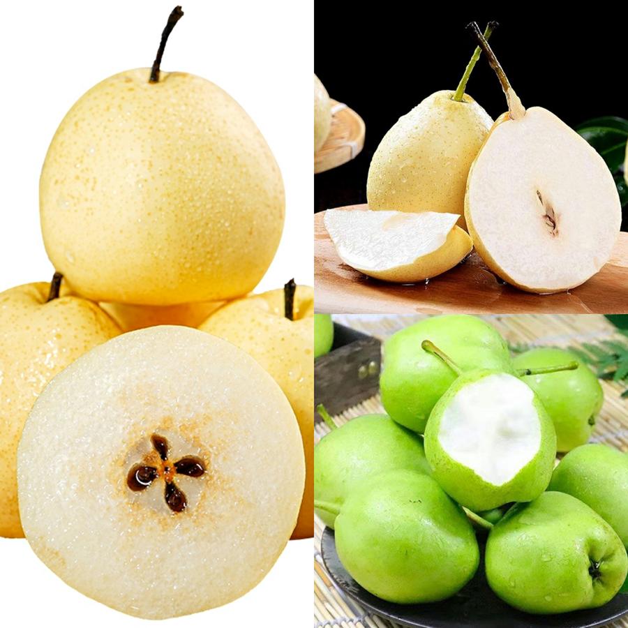 【惊蛰套餐 】绿梨 鸭梨 雪梨10斤/份,润肺止咳,远离新冠(每天晚上18