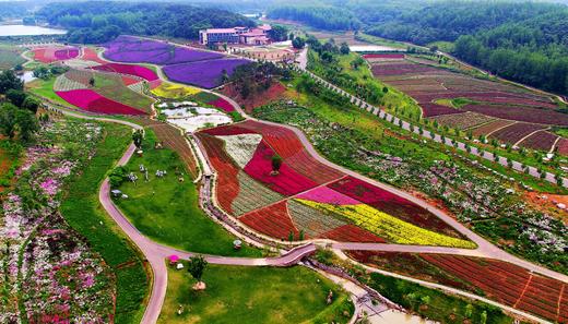 湖北宜昌枝江东方年华景区门票 商品图2