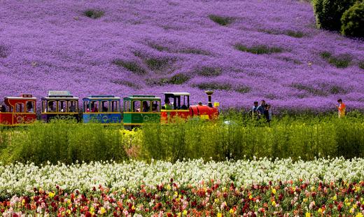 湖北宜昌枝江东方年华景区门票 商品图3