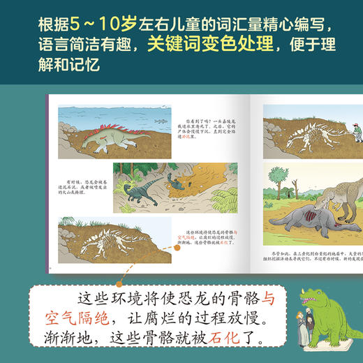 亲亲历史图书馆：恐龙  科普百科 科普绘本百科全书 商品图7