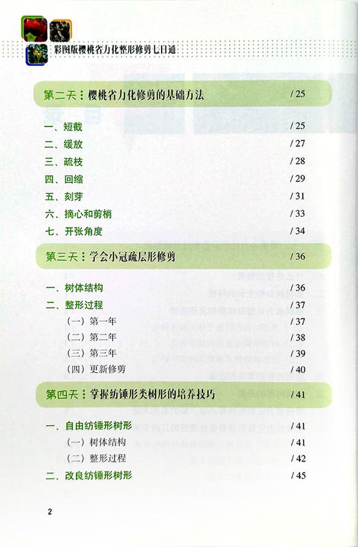 彩图版果树整形修剪七日通丛书 商品图2