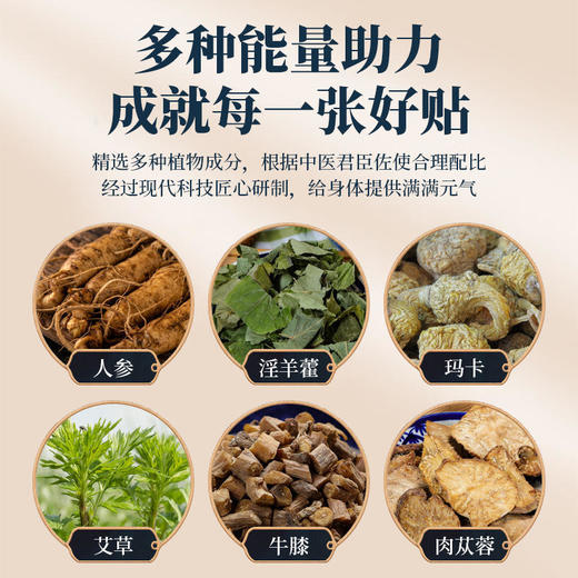 【买3发5】同仁堂强腰益肾贴 一盒5贴，一日一次为青春续航 商品图3