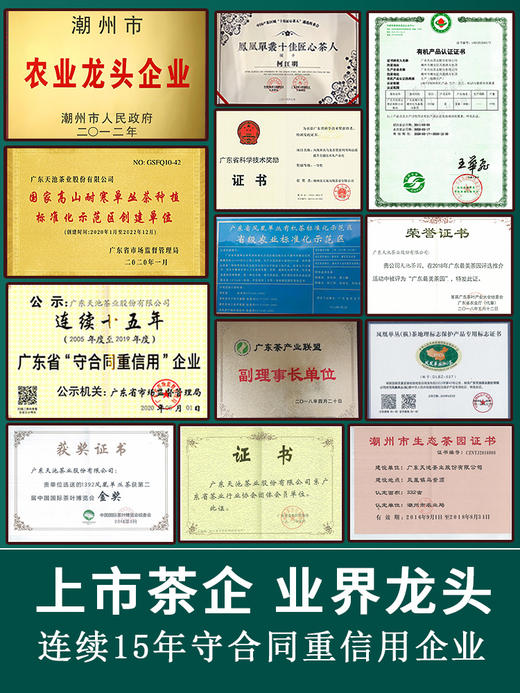 【高香 回甘持久】天池茶业 高山鸭屎香 金蜜银香 凤凰单枞茶 320g/罐（京东同款） 商品图3