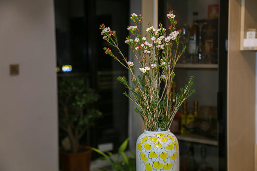 菜头商城 聊寄一枝春，云南懒人插花之〔澳洲腊梅〕A级 商品图2