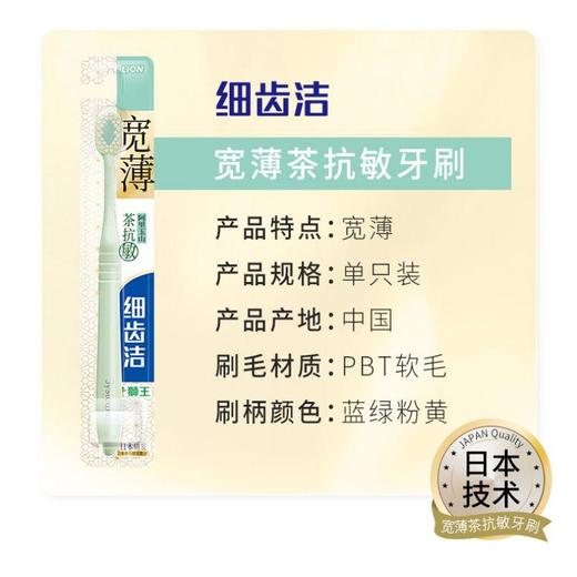 狮王细齿洁宽薄茶抗敏牙刷 商品图0