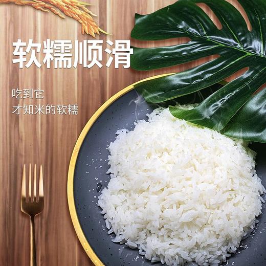 泰国香米 南纳香 进口原粮 泰米 10kg（新米） 商品图4