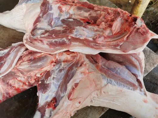 跑山土猪，养殖1年以上，一刀切猪肉（省内包邮，省外加邮费） 商品图9