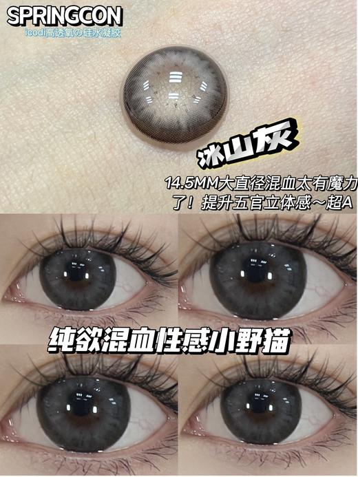 大直径推荐丨冰山灰·Springcon丨14.5mm（年抛/2片装) 商品图0