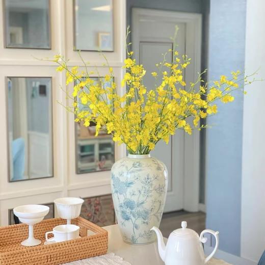 【AB级跳舞兰】10支/份 长约60-70cm 商品图8