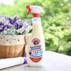 意大利大公鸡头经典型多功能厨房油污清洁剂大公鸡管家625ml*2瓶【GPQ】 商品缩略图9