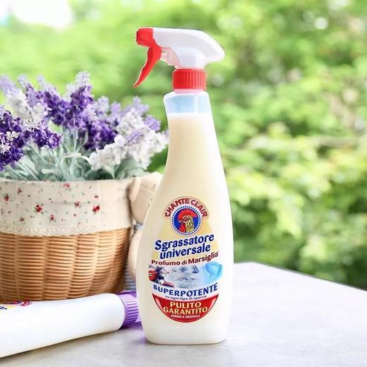 意大利大公鸡头经典型多功能厨房油污清洁剂大公鸡管家625ml*2瓶【GPQ】 商品图9