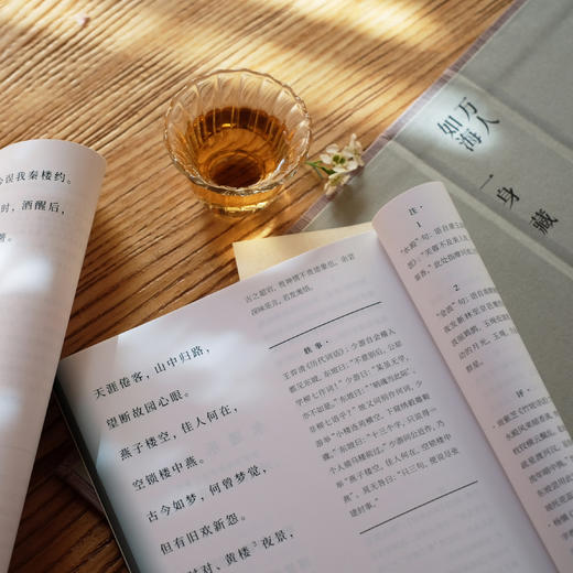 《攸哉：宋词三百首》 商品图3