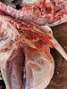 跑山土猪，养殖1年以上，一刀切猪肉（省内包邮，省外加邮费） 商品缩略图8