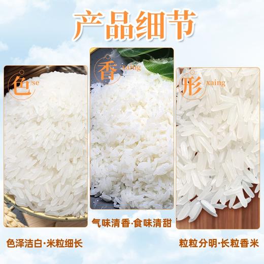 泰国香米 南纳香 进口原粮 泰米 10kg（新米） 商品图2