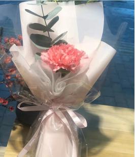 一心一意  单支粉色康乃馨花束【BC】【AM】 商品图0