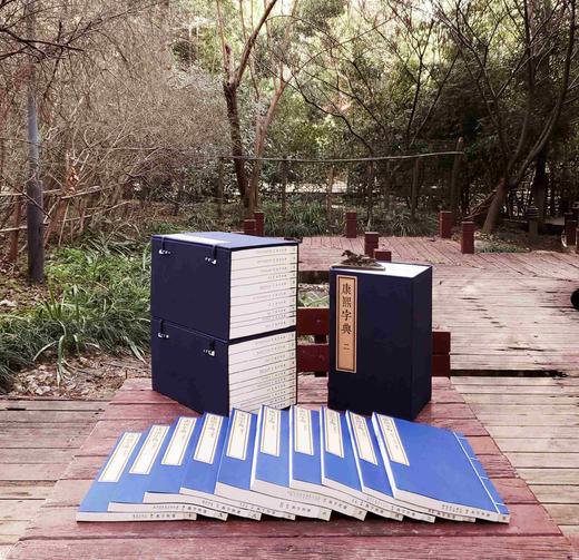 《康熙字典》，线装4函全40册《康熙字典》，线装，4函全40册，30*18cm,据光绪元年崇文书局版影印，崇文书局2017年版，定价6800，售价3288 商品图6