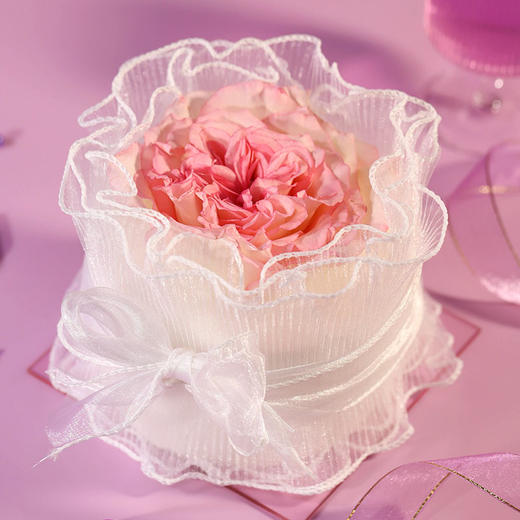 5寸玫瑰星河 商品图0