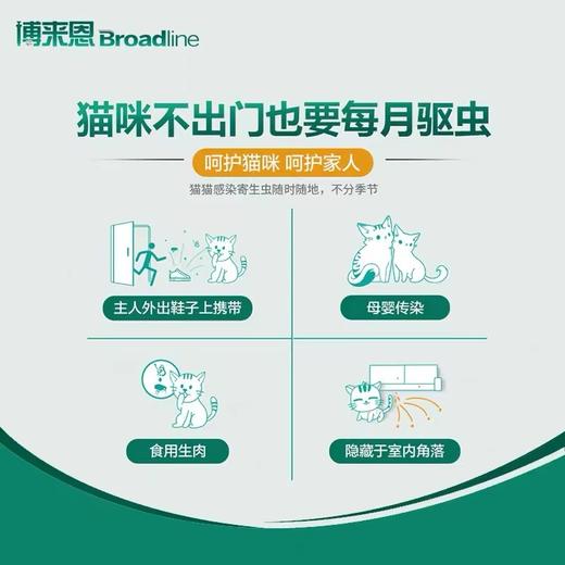 博莱恩驱虫 商品图2