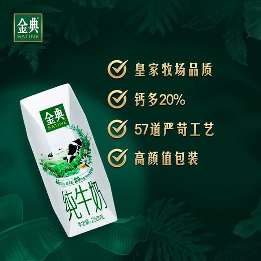 伊利 金典纯牛奶250ml*16盒 商品图3