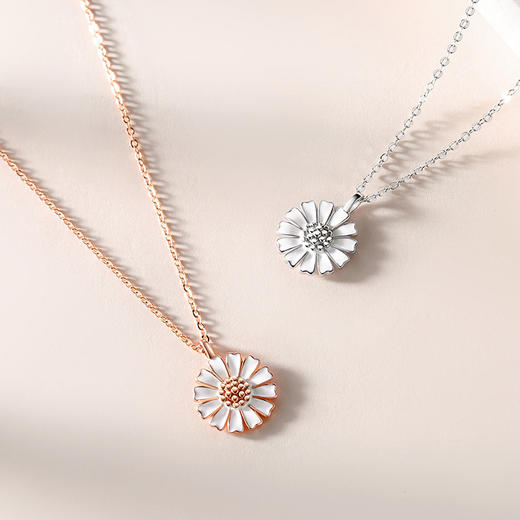 子佩集【雏菊】S925银小清新项链【JHY-N000010B】 商品图1