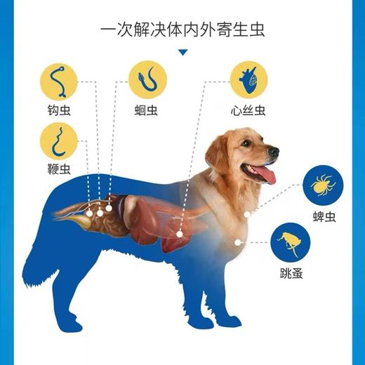 超可信犬用驱虫 商品图3