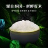 泰国香米 南纳香 进口原粮 泰米 10kg（新米） 商品缩略图3