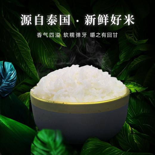 泰国香米 南纳香 进口原粮 泰米 10kg（新米） 商品图3