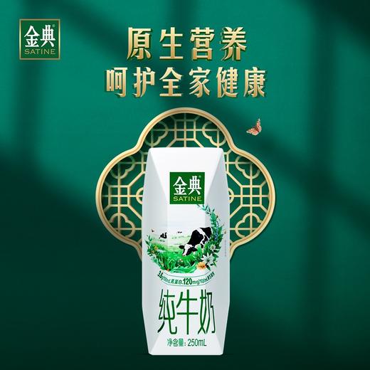伊利 金典纯牛奶250ml*16盒 商品图2