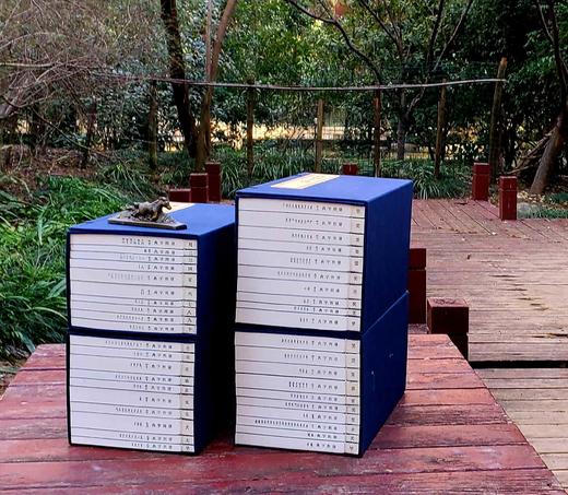 《康熙字典》，线装4函全40册《康熙字典》，线装，4函全40册，30*18cm,据光绪元年崇文书局版影印，崇文书局2017年版，定价6800，售价3288 商品图1