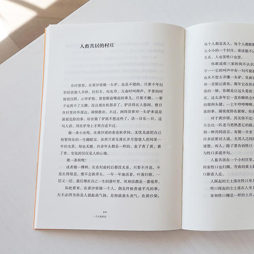 一个人的村庄 学生版 商品图3