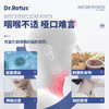 【买2瓶减10买3送1】Dr.Rotus咽喉炎凝胶液急慢性咽喉炎喷雾剂咽部肿痛牙周炎牙龈炎疼 商品缩略图2