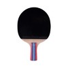 狂神乒乓球拍 狂神直拍NL8116 商品缩略图4