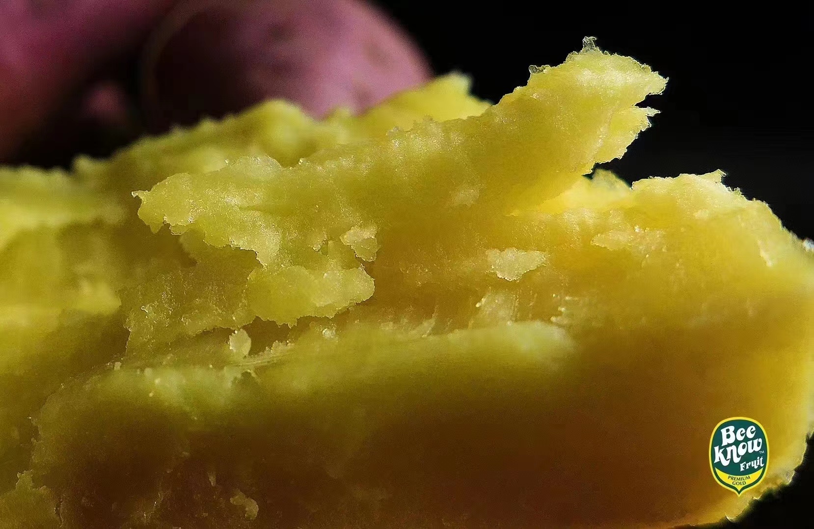 倍浓安纳芋地瓜日本品种约455斤箱极粉糯极细腻集美貌和美味于一身