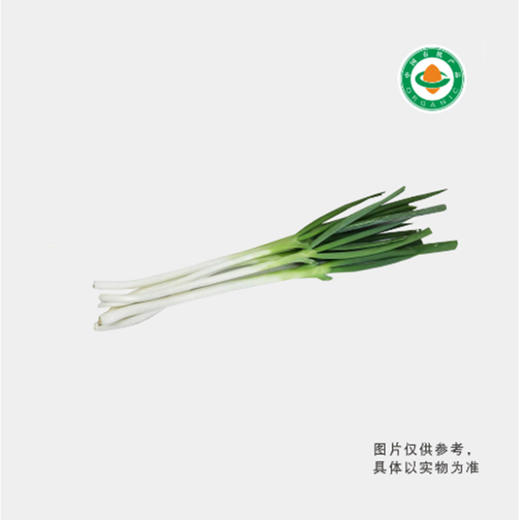 菁沃有机大葱300G 商品图0