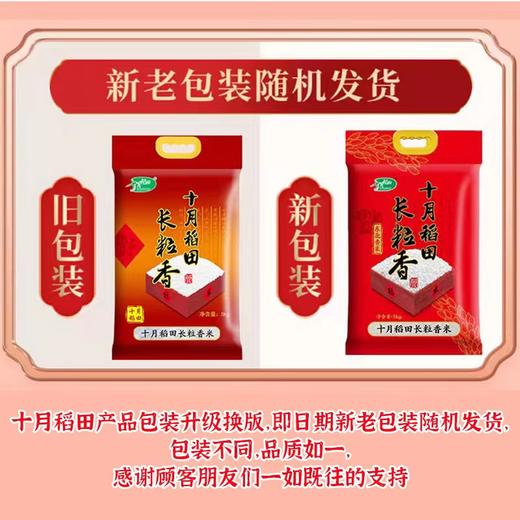 十月稻田 长粒香大米 东北大米 东北香米 5kg 商品图3