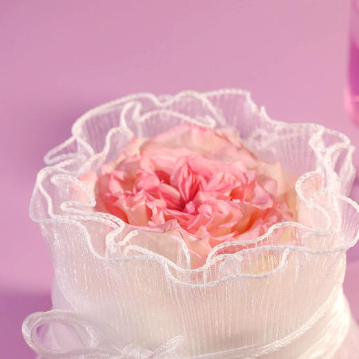 5寸玫瑰星河 商品图1