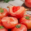 【好吃的】普罗旺斯西红柿 番茄 沙瓤肉细 味甘多汁 轻甜爽口 饱满圆润 4.5斤彩箱装 商品缩略图0