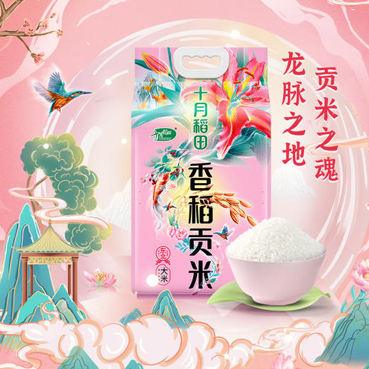 十月稻田 香稻贡米 东北大米 当季新米 5kg 商品图1