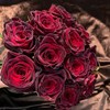 肯尼亚进口玫瑰花black baccara黑巴克12支 商品缩略图1