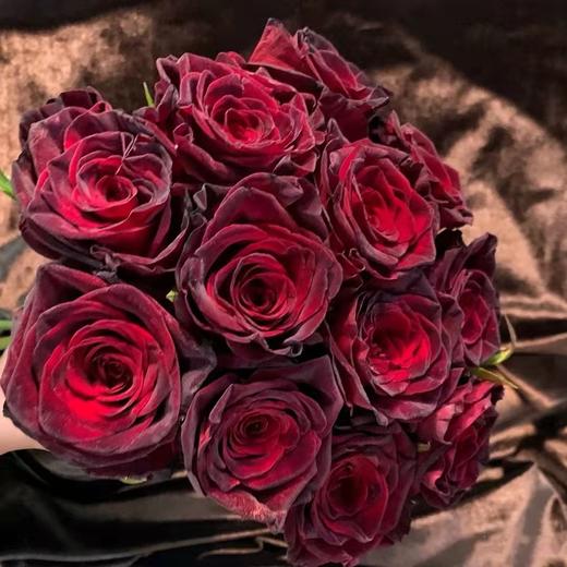 肯尼亚进口玫瑰花black baccara黑巴克12支 商品图1