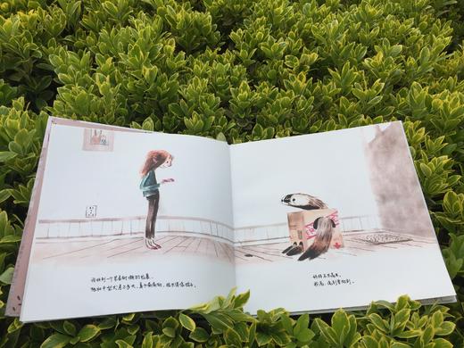 《树懒活力秀》大奖绘本 3-6岁亲子阅读绘本 商品图1