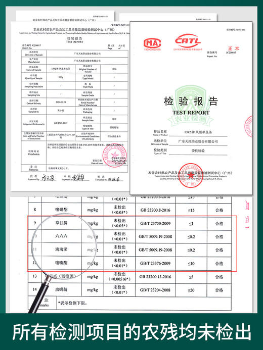 【高香 回甘持久】天池茶业 高山鸭屎香 金蜜银香 凤凰单枞茶 320g/罐（京东同款） 商品图2
