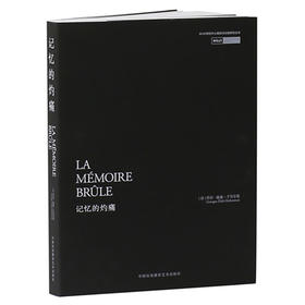 记忆的灼痛【OCAT研究中心丛书】