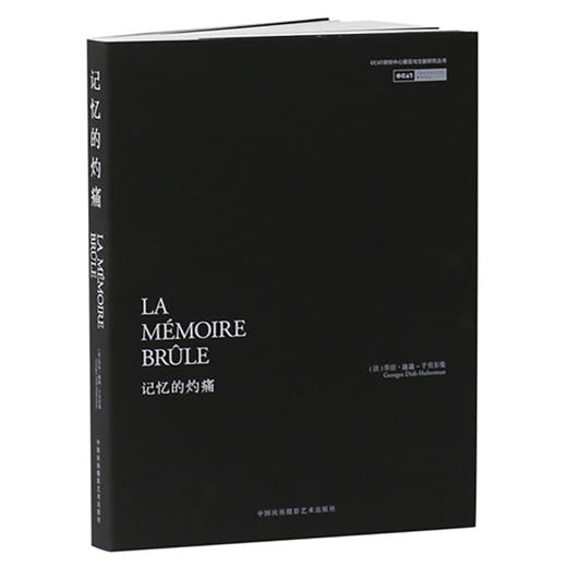 记忆的灼痛【OCAT研究中心丛书】 商品图0