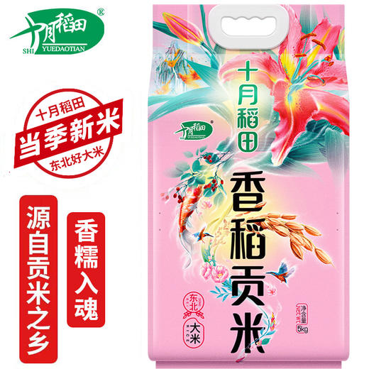 十月稻田 香稻贡米 东北大米 当季新米 5kg 商品图0
