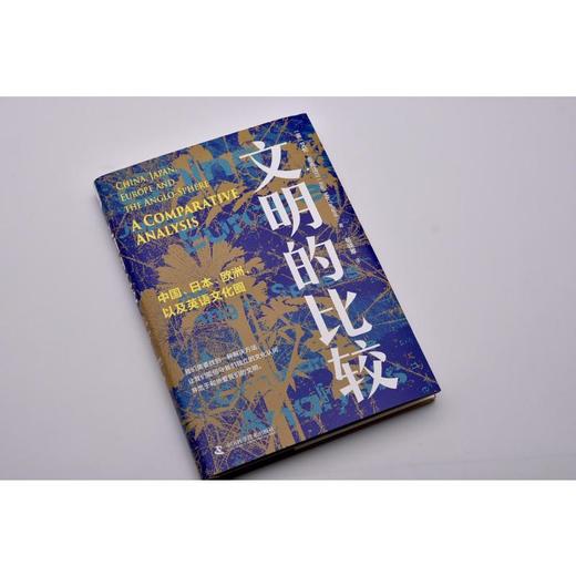 文明的比较 商品图2