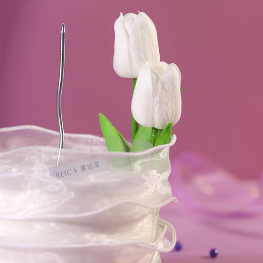 女神的礼物 商品图2